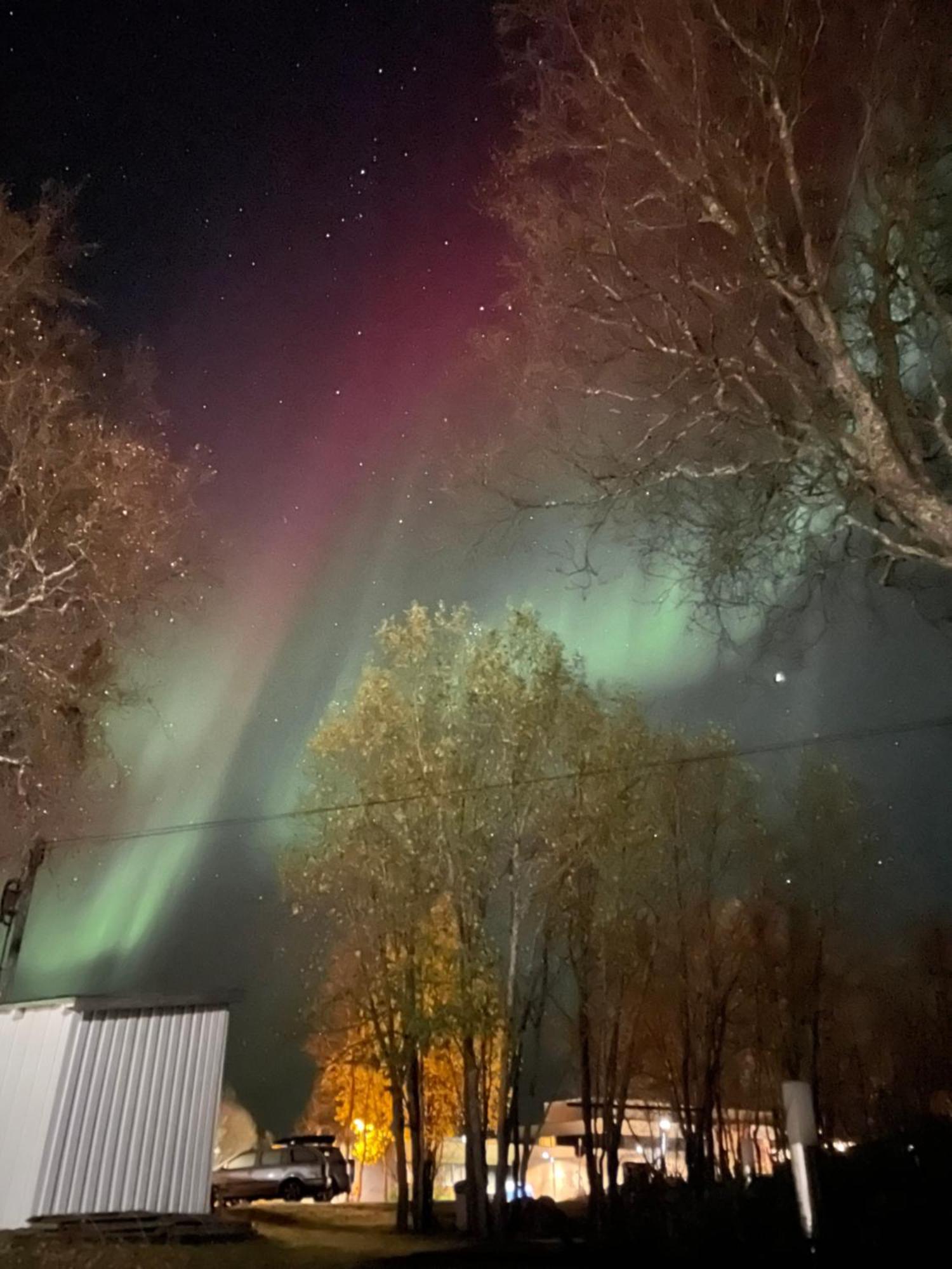 Sentral Og Romslig Leilighet Naert Senja Finnsnes Extérieur photo